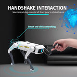 Smart Dog Multifunctional Toy © Ⓢ